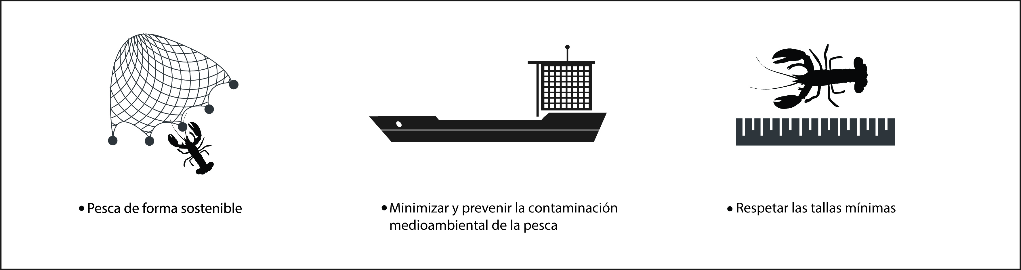 Sostenibilidad