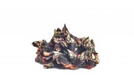 Delicrab-3
